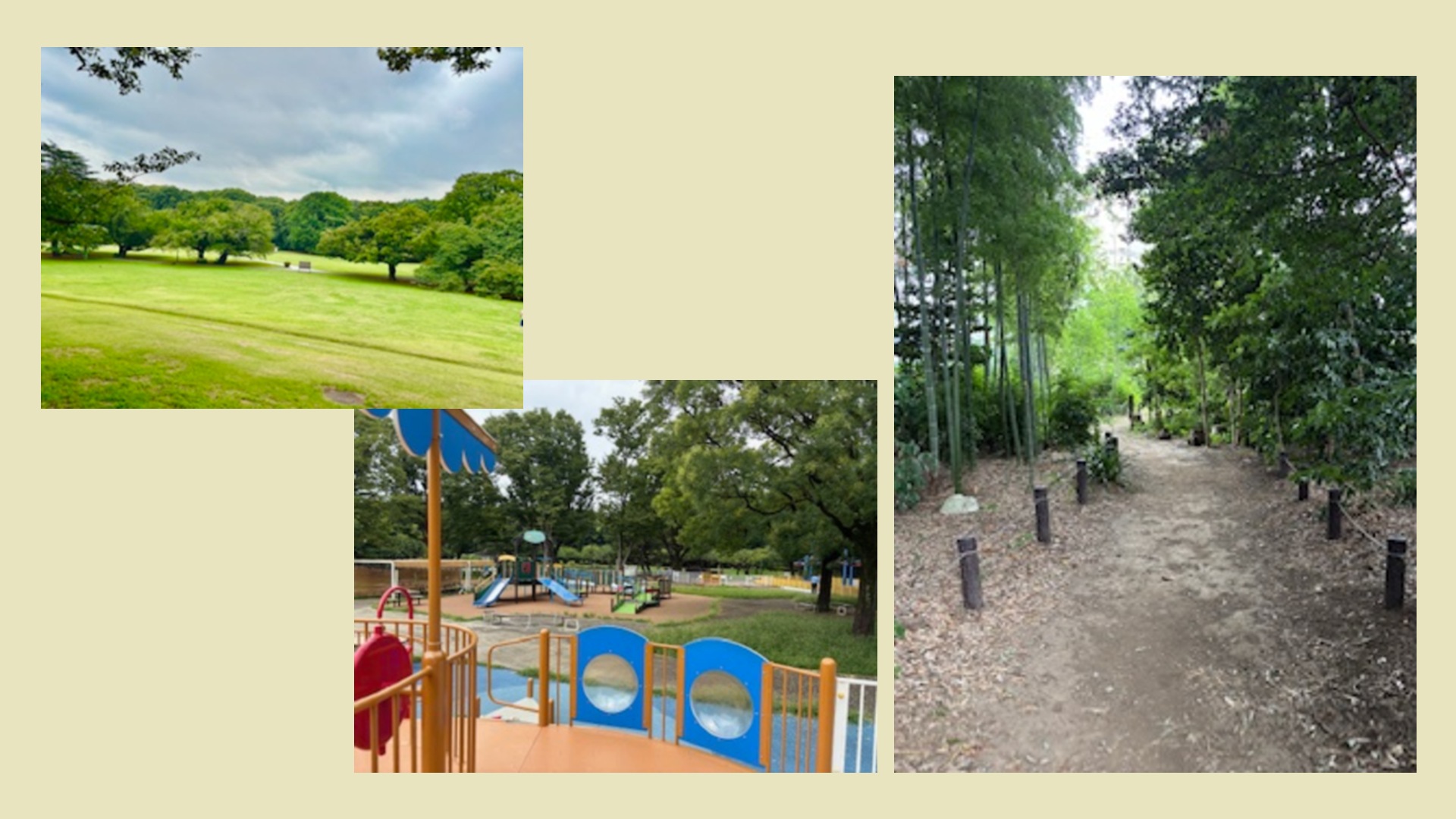 マザーツリー周辺の公園など