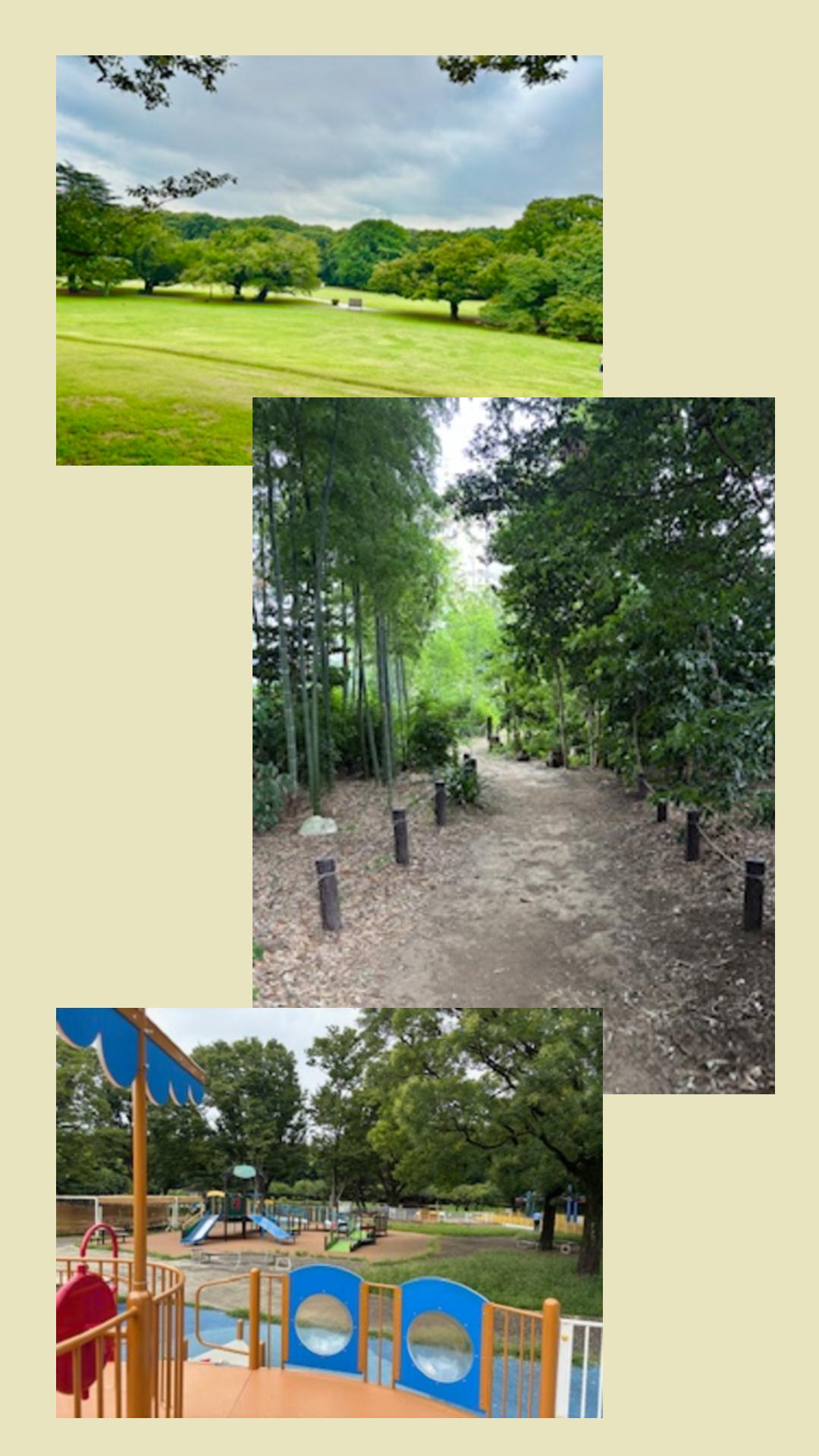 マザーツリー周辺の公園など