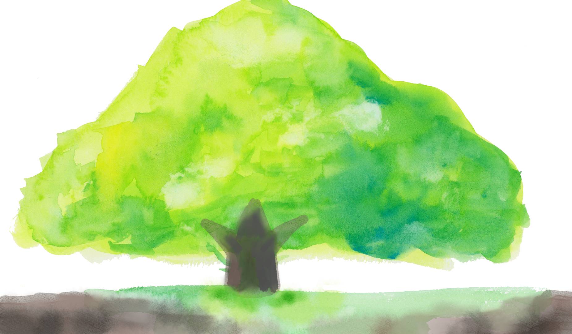 マザーツリーの木 水彩画