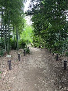 竹林のある静かな小道